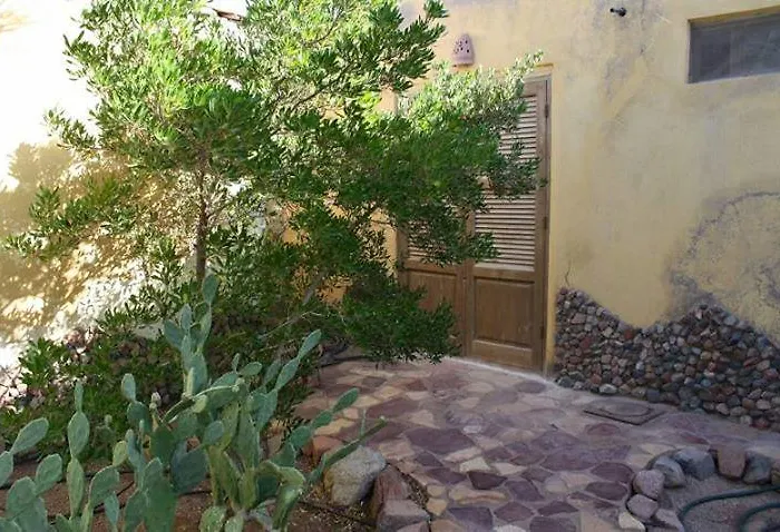 Tatil Evi Jillyfish House - Deine Oase In Zwei Palmengaerten - Zentral Am 'lighthouse' *