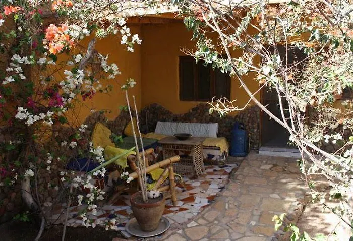 Jillyfish House - Deine Oase In Zwei Palmengaerten - Zentral Am 'lighthouse' Dahab