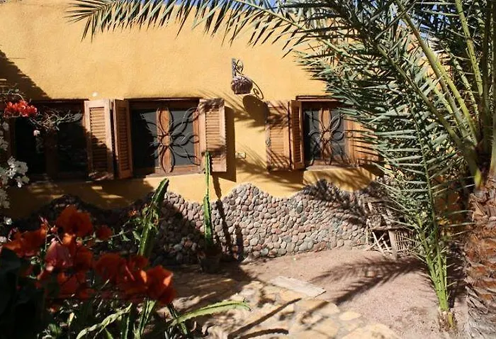 Jillyfish House - Deine Oase In Zwei Palmengaerten - Zentral Am 'lighthouse'
